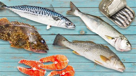 cheap fish food|13 Inexpensive Fish You Can't Afford To Overlook.